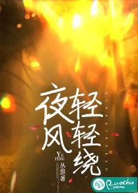 夜风轻轻绕大结局
