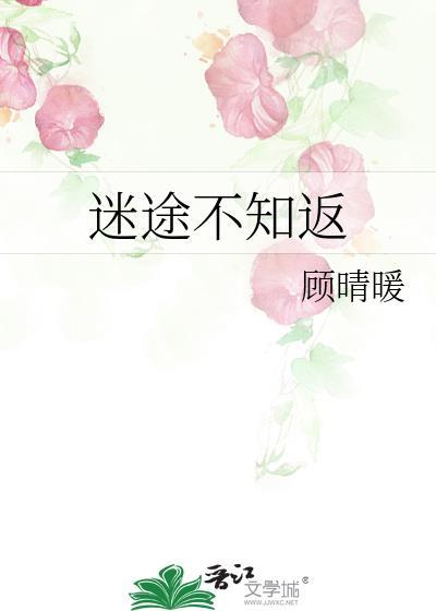 迷途不知返晋江