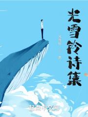 光诗集配图