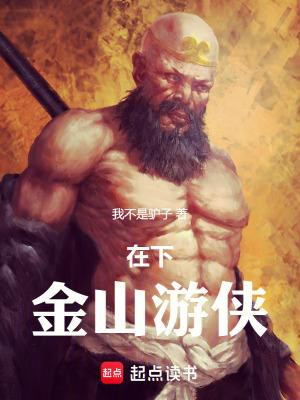 金山游侠安装