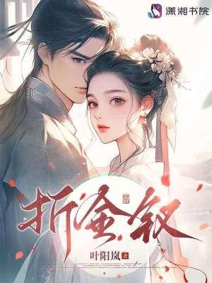 折金钗叶阳岚大结局