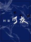 回旋式是什么意思