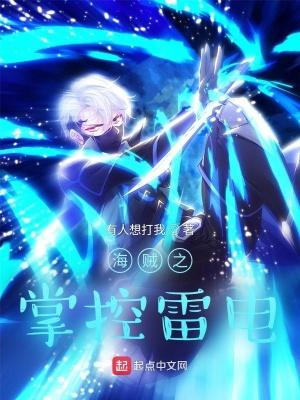 海贼之掌控雷电TXT全集