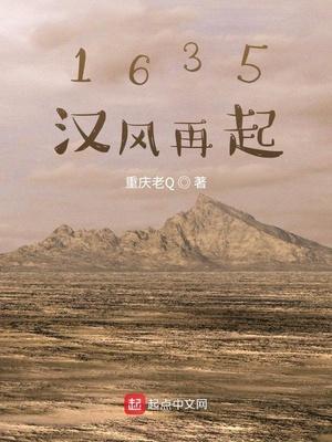 1635汉风再起地图