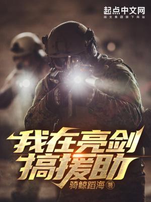我在亮剑搞援助作者骑鲸蹈海