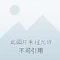 凡人修仙之我