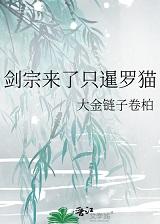 剑宗来了只暹罗猫免费
