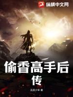 偷香高手后传TXT