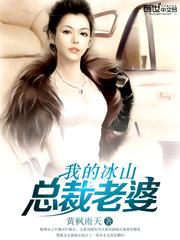 我的冰山总裁老婆杨辰