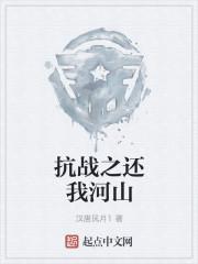 抗战之还我河山txt八零