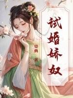 试婚侍女