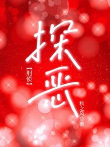 探案po