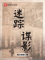 迷踪谍影怎么断更了