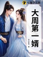 大周第一婿沈镜 大周第一婿沈镜