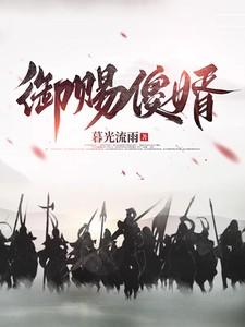 御赐傻婿全本TXT