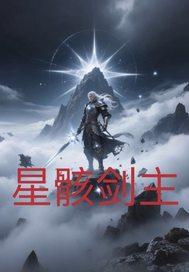 星骸骑士简介