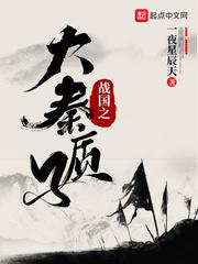 战国之大秦质子一夜星辰天