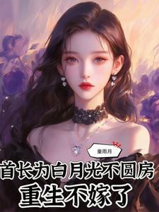 重生不嫁了最新
