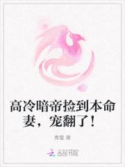 高冷暗帝捡到本命妻