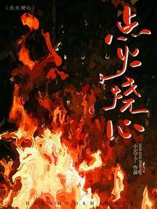 点火烧心全文免费笔趣阁