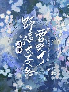 野痞太子爷要哭了结局是be还是he