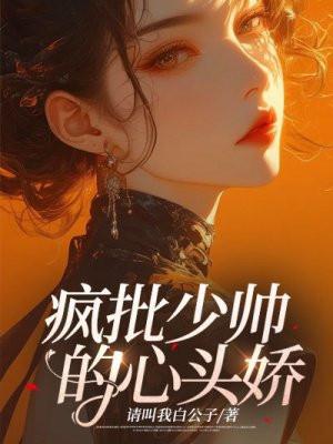 少帅疯流专