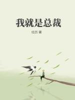 我就是总裁游戏攻略