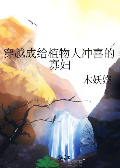 穿成植物人冲喜的寡妇免费阅读全文