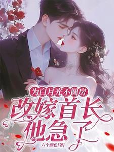 为白月光替嫁后