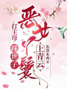 恶女丫鬟上青云结局