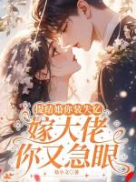 嫁大佬你又急眼 易小文 嫁大佬你又急眼 易小文