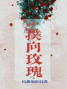 扑向玫瑰po笔趣阁秦
