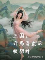 三国开局袁术