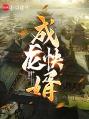 乘龙快婿拼音