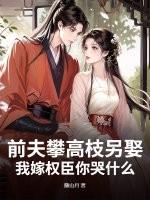 前夫高攀不起百科