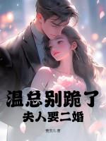 温言总裁夫人不当了