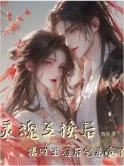 灵魂互换后摄政王在后宅杀疯了