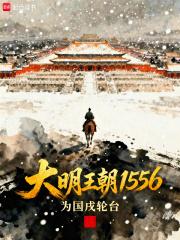 大明王朝1556豆瓣评分