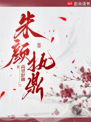 朱颜是什么书