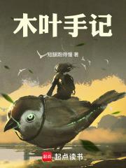 木叶手记笔趣阁