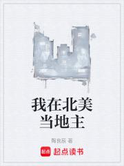 我在北美当地主陶良辰