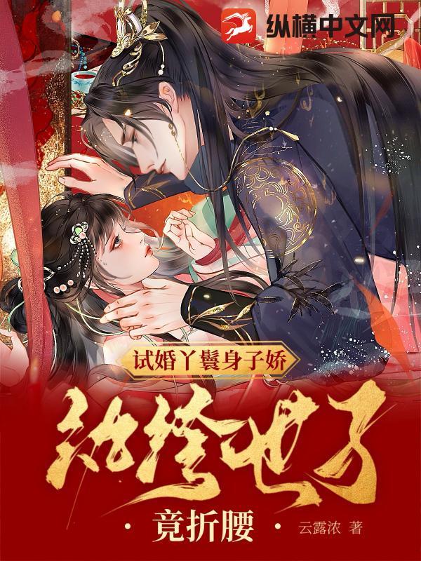 试婚丫头 试婚丫头