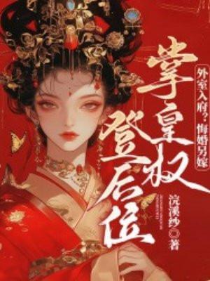 外室或宠妾的推荐
