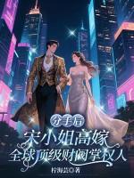 宋小姐是什么电视剧 宋小姐是什么电视剧