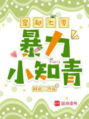 穿越七零知青小温馨