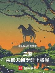 三国从樵夫到季汉上将在线