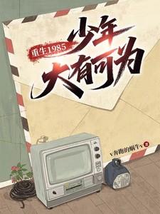 重生1985少年大有可为
