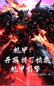 机甲开局拆了校花机甲引擎TXT