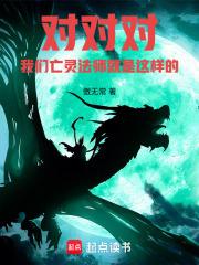 亡灵法师是什么意思