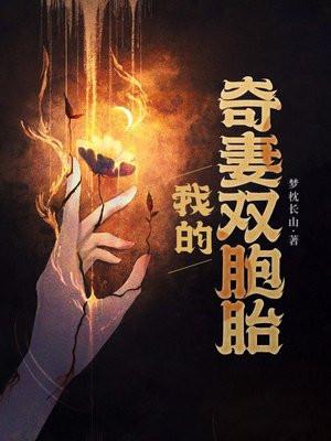 我的老婆双胞胎685章